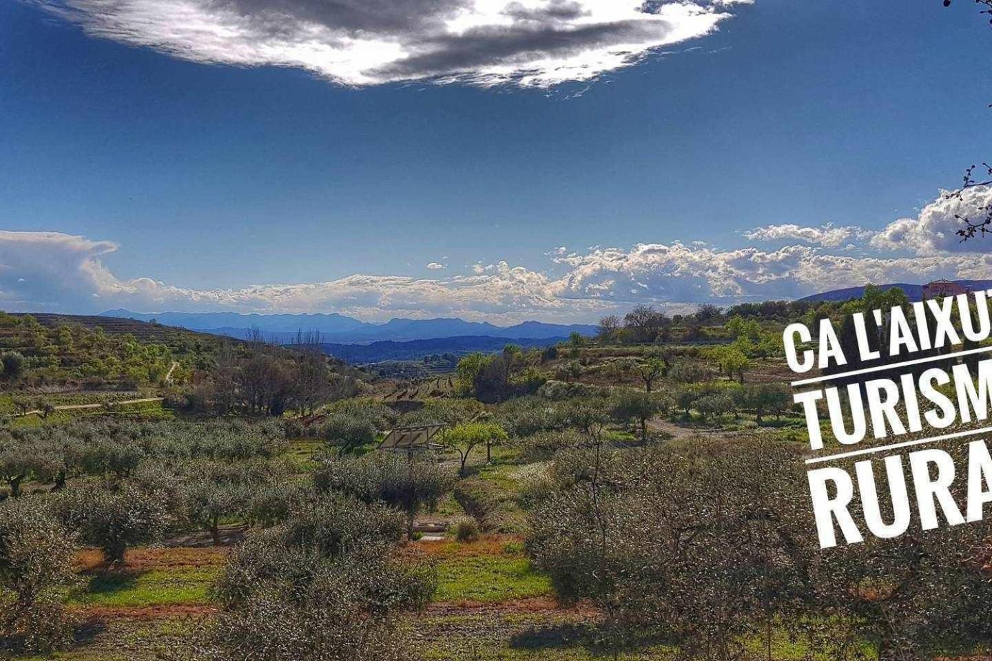 Ca Laixut Turismo Rural Gratallops Kültér fotó